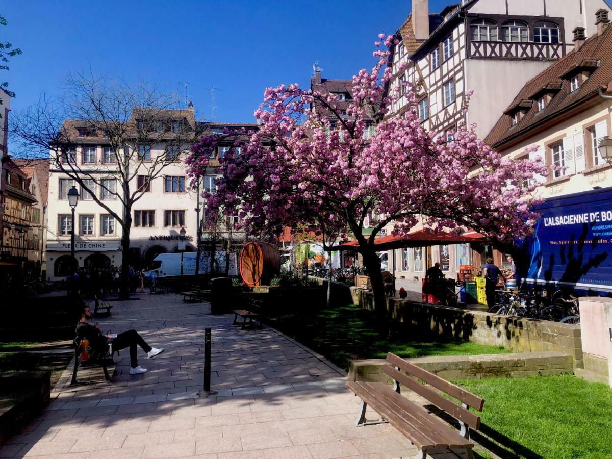 Appartamento Le Moment Bleu Strasburgo Esterno foto