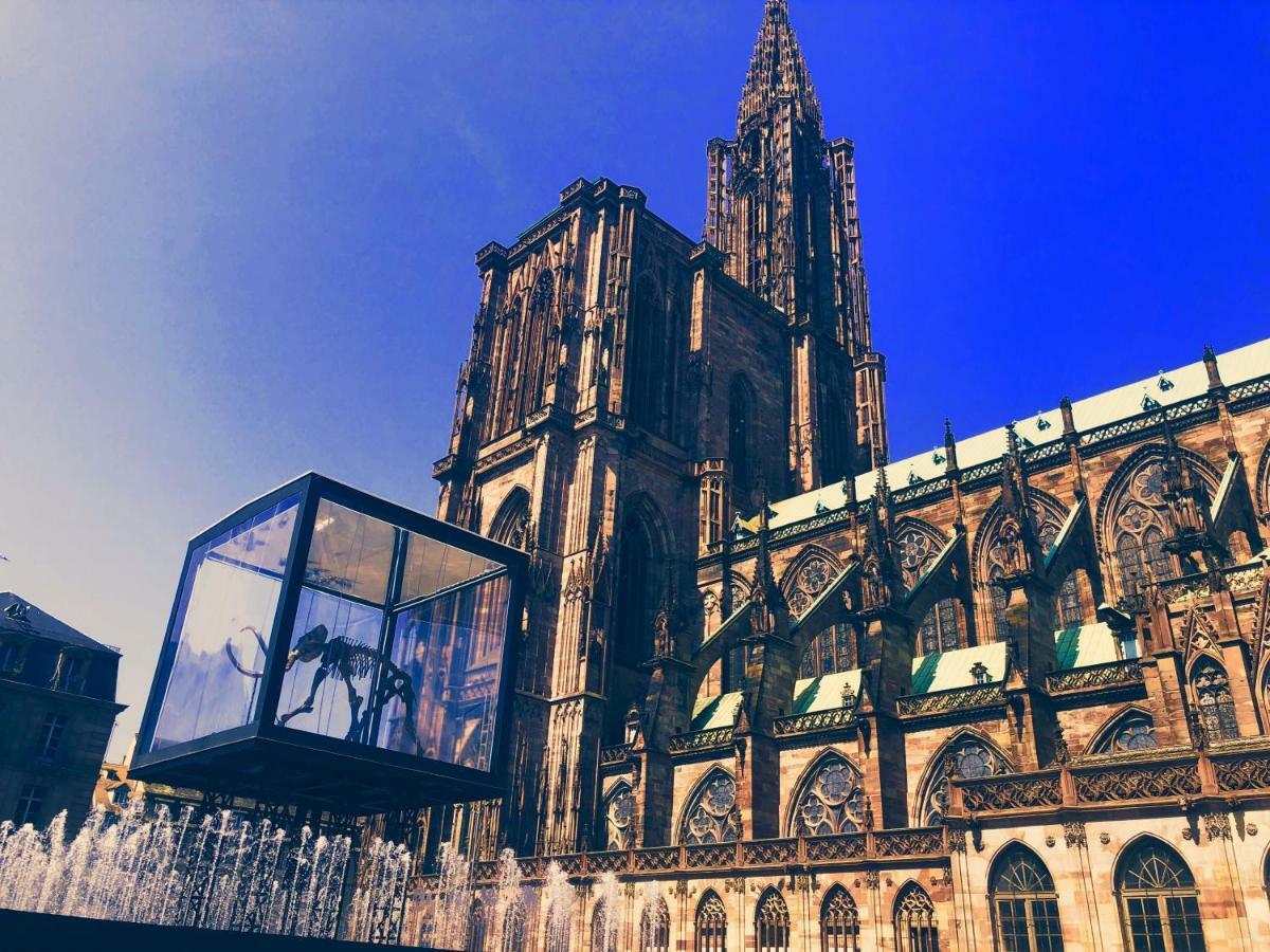 Appartamento Le Moment Bleu Strasburgo Esterno foto
