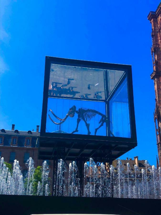 Appartamento Le Moment Bleu Strasburgo Esterno foto